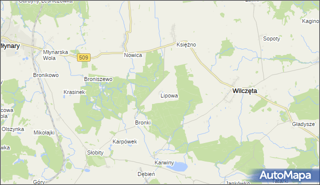 mapa Lipowa gmina Wilczęta, Lipowa gmina Wilczęta na mapie Targeo