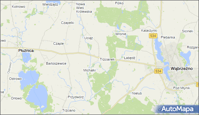 mapa Trzcianek, Trzcianek na mapie Targeo