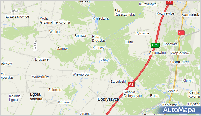 mapa Żaby gmina Dobryszyce, Żaby gmina Dobryszyce na mapie Targeo