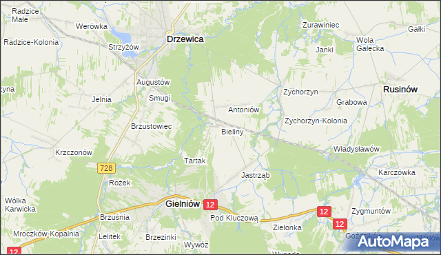 mapa Bieliny gmina Gielniów, Bieliny gmina Gielniów na mapie Targeo