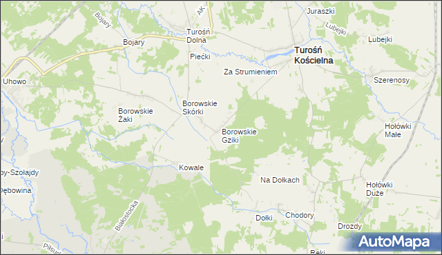mapa Borowskie Gziki, Borowskie Gziki na mapie Targeo