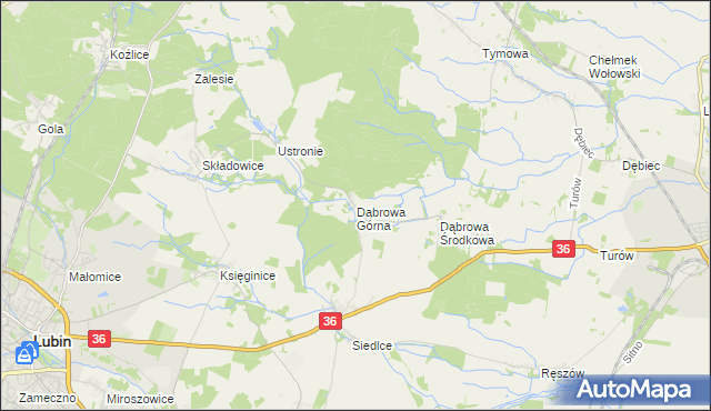 mapa Dąbrowa Górna gmina Lubin, Dąbrowa Górna gmina Lubin na mapie Targeo
