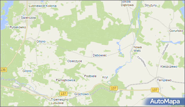 mapa Dębowiec gmina Bledzew, Dębowiec gmina Bledzew na mapie Targeo