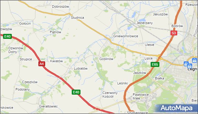 mapa Goślinów, Goślinów na mapie Targeo