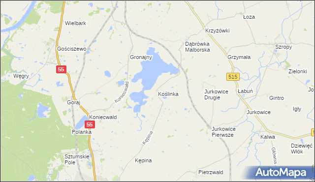 mapa Koślinka gmina Sztum, Koślinka gmina Sztum na mapie Targeo