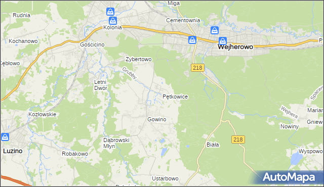 mapa Pętkowice gmina Wejherowo, Pętkowice gmina Wejherowo na mapie Targeo