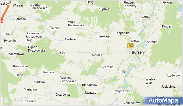 mapa Strzałki gmina Burzenin, Strzałki gmina Burzenin na mapie Targeo