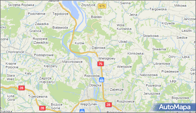 mapa Wielogłowy gmina Chełmiec, Wielogłowy gmina Chełmiec na mapie Targeo