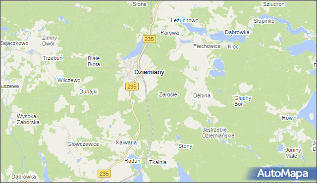mapa Zarośle gmina Dziemiany, Zarośle gmina Dziemiany na mapie Targeo