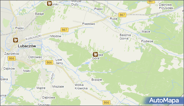 mapa Borowa Góra gmina Lubaczów, Borowa Góra gmina Lubaczów na mapie Targeo