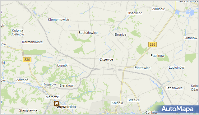 mapa Drzewce gmina Nałęczów, Drzewce gmina Nałęczów na mapie Targeo