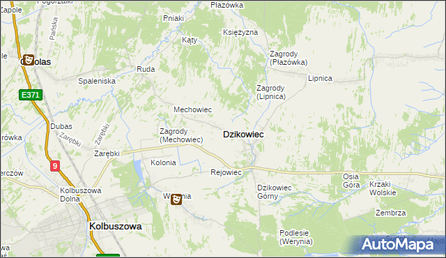 mapa Dzikowiec powiat kolbuszowski, Dzikowiec powiat kolbuszowski na mapie Targeo