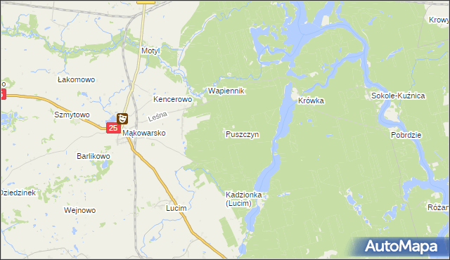 mapa Puszczyn gmina Koronowo, Puszczyn gmina Koronowo na mapie Targeo