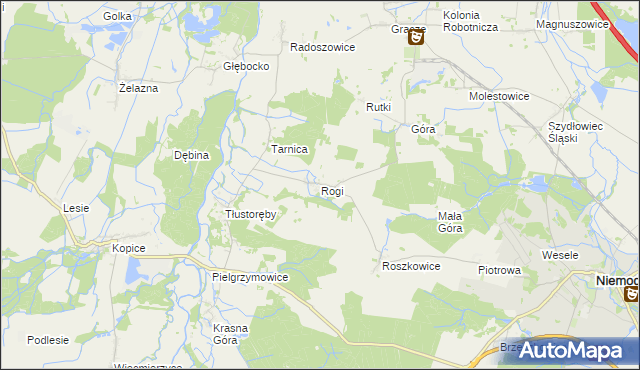 mapa Rogi gmina Niemodlin, Rogi gmina Niemodlin na mapie Targeo