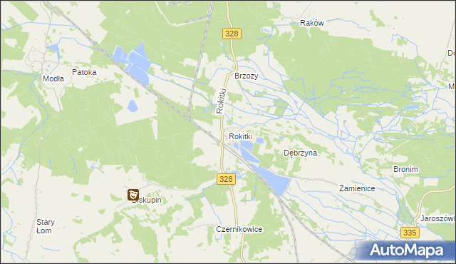mapa Rokitki gmina Chojnów, Rokitki gmina Chojnów na mapie Targeo