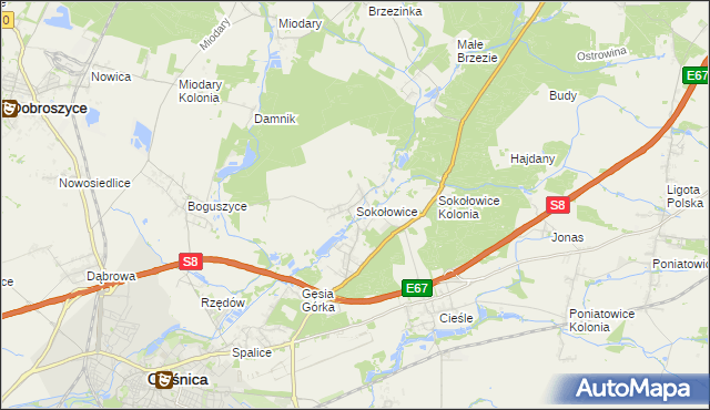 mapa Sokołowice gmina Oleśnica, Sokołowice gmina Oleśnica na mapie Targeo