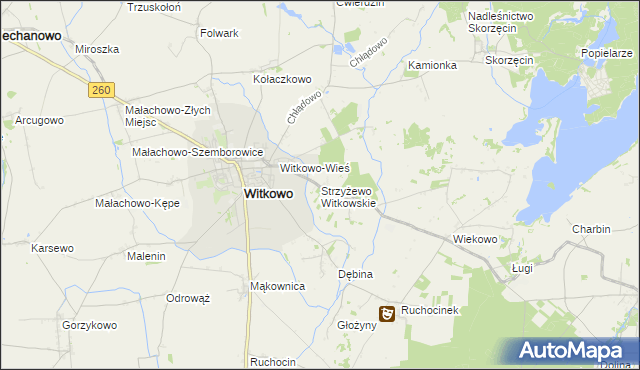 mapa Strzyżewo Witkowskie, Strzyżewo Witkowskie na mapie Targeo