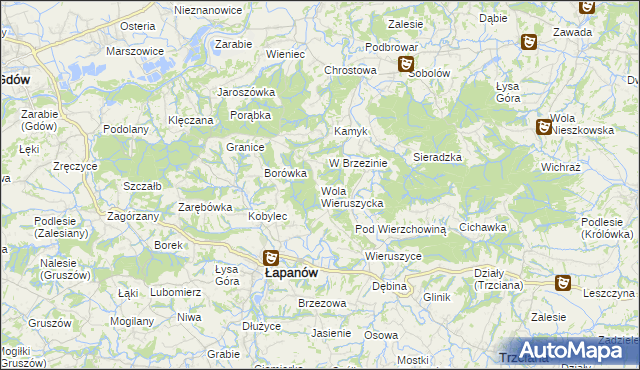 mapa Wola Wieruszycka, Wola Wieruszycka na mapie Targeo