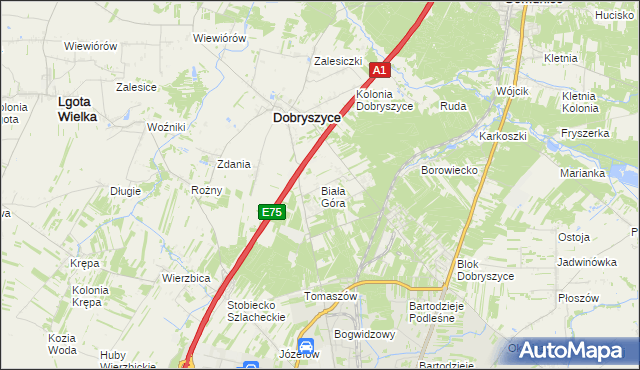 mapa Biała Góra gmina Dobryszyce, Biała Góra gmina Dobryszyce na mapie Targeo