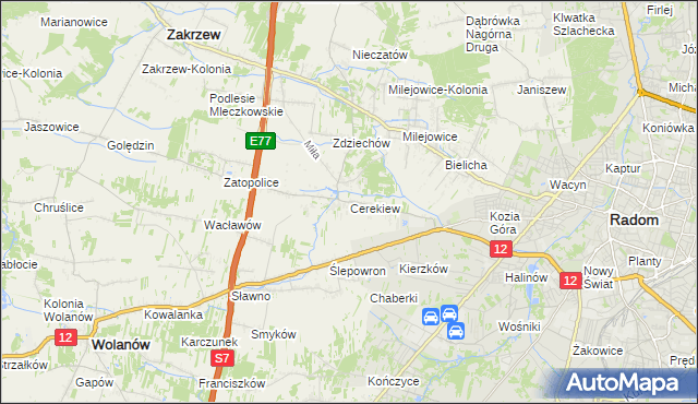 mapa Cerekiew gmina Zakrzew, Cerekiew gmina Zakrzew na mapie Targeo