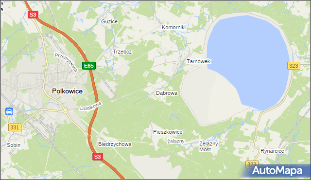 mapa Dąbrowa gmina Polkowice, Dąbrowa gmina Polkowice na mapie Targeo