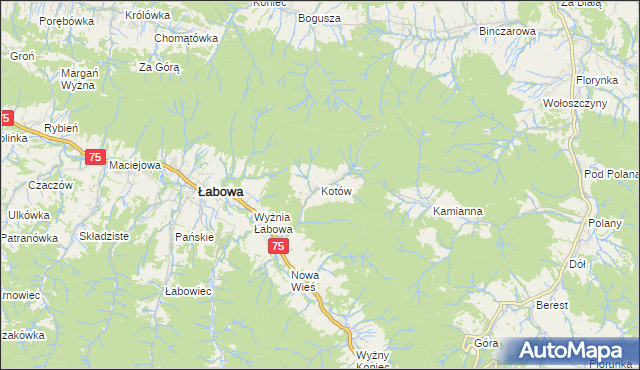 mapa Kotów gmina Łabowa, Kotów gmina Łabowa na mapie Targeo