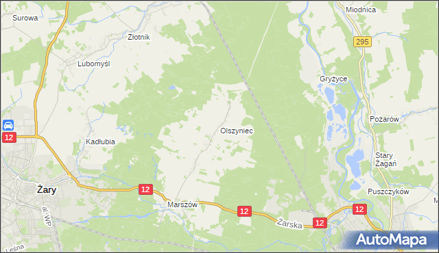 mapa Olszyniec gmina Żary, Olszyniec gmina Żary na mapie Targeo