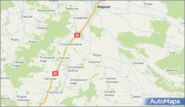 mapa Płoski, Płoski na mapie Targeo