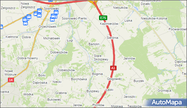 mapa Stare Skoszewy, Stare Skoszewy na mapie Targeo