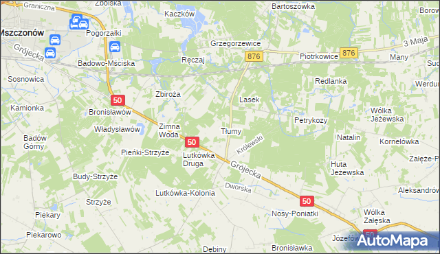 mapa Tłumy gmina Mszczonów, Tłumy gmina Mszczonów na mapie Targeo