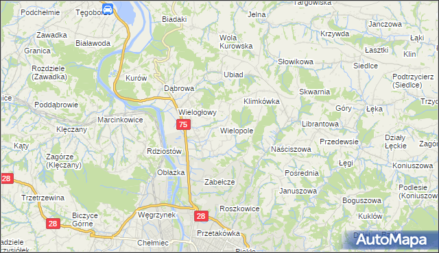 mapa Wielopole gmina Chełmiec, Wielopole gmina Chełmiec na mapie Targeo