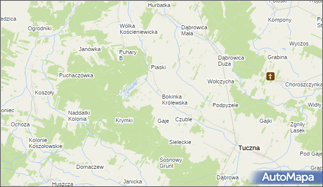 mapa Bokinka Królewska, Bokinka Królewska na mapie Targeo