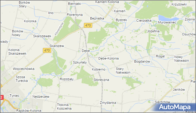 mapa Dębe-Kolonia, Dębe-Kolonia na mapie Targeo