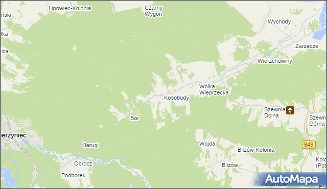 mapa Kosobudy gmina Zwierzyniec, Kosobudy gmina Zwierzyniec na mapie Targeo