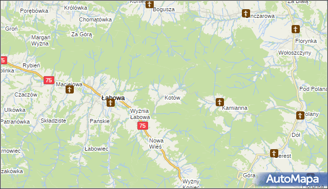 mapa Kotów gmina Łabowa, Kotów gmina Łabowa na mapie Targeo