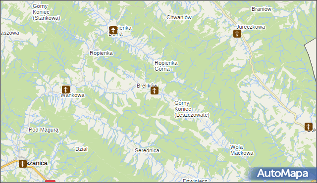 mapa Leszczowate, Leszczowate na mapie Targeo