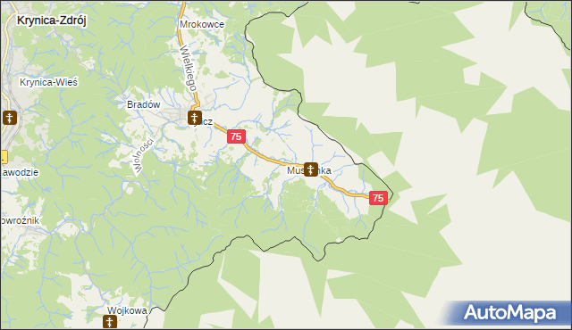 mapa Muszynka, Muszynka na mapie Targeo