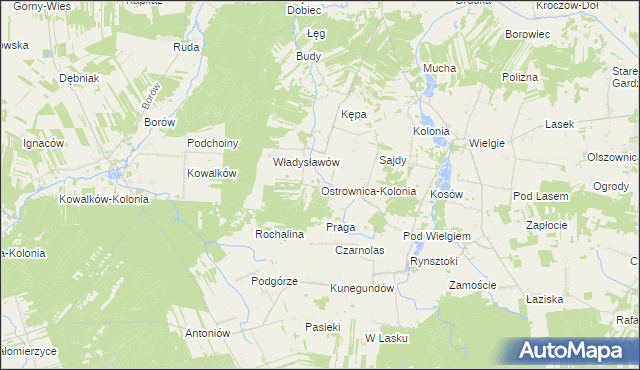 mapa Ostrownica-Kolonia, Ostrownica-Kolonia na mapie Targeo