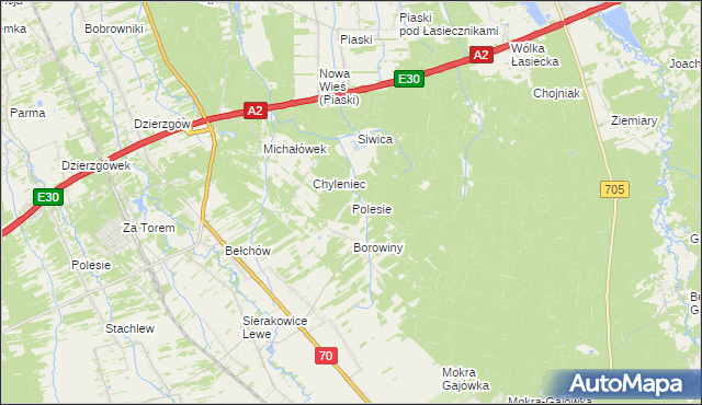 mapa Polesie gmina Nieborów, Polesie gmina Nieborów na mapie Targeo