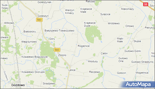 mapa Rogienice gmina Gozdowo, Rogienice gmina Gozdowo na mapie Targeo