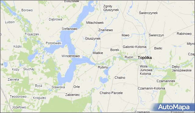 mapa Rybiny Leśne, Rybiny Leśne na mapie Targeo