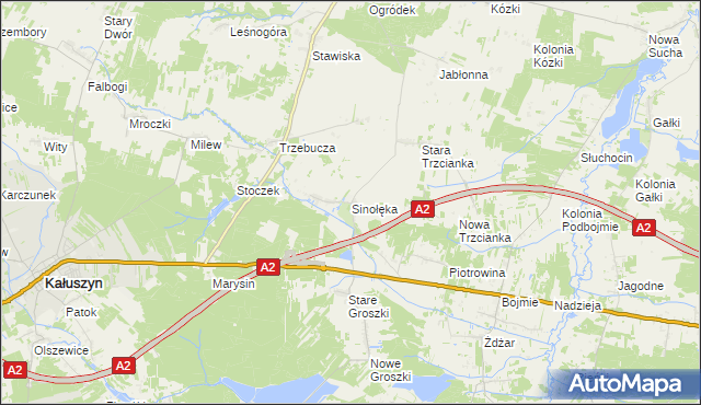 mapa Sinołęka, Sinołęka na mapie Targeo