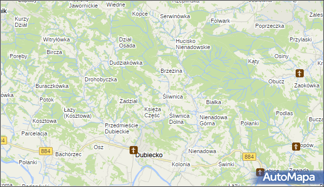 mapa Śliwnica gmina Dubiecko, Śliwnica gmina Dubiecko na mapie Targeo