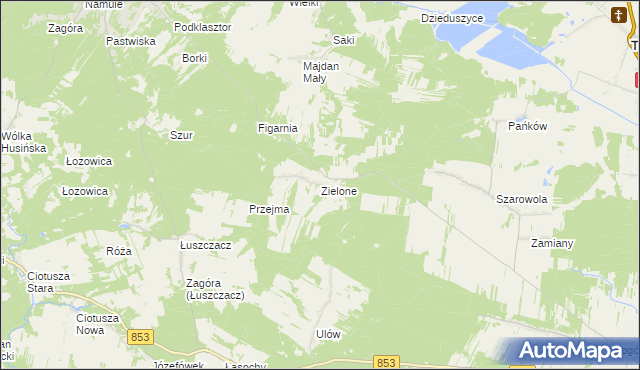 mapa Zielone gmina Krasnobród, Zielone gmina Krasnobród na mapie Targeo