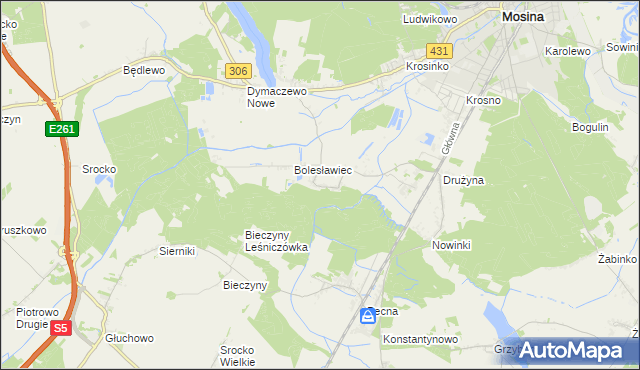 mapa Borkowice gmina Mosina, Borkowice gmina Mosina na mapie Targeo