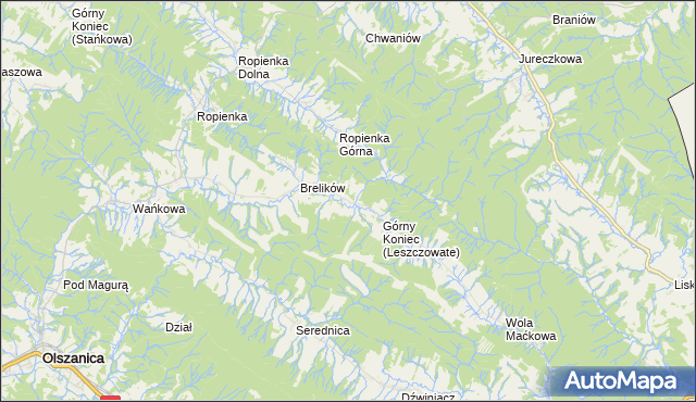 mapa Leszczowate, Leszczowate na mapie Targeo
