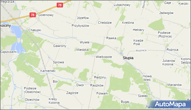 mapa Wielkopole gmina Słupia, Wielkopole gmina Słupia na mapie Targeo