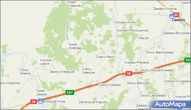 mapa Cibory-Marki, Cibory-Marki na mapie Targeo