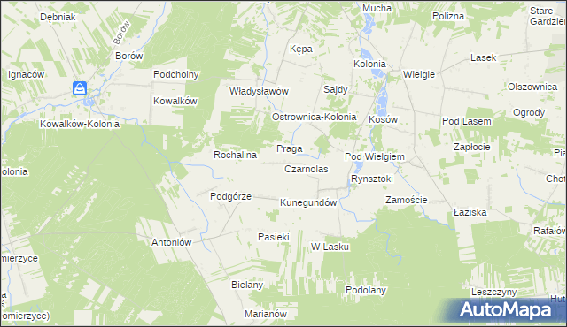 mapa Czarnolas gmina Ciepielów, Czarnolas gmina Ciepielów na mapie Targeo