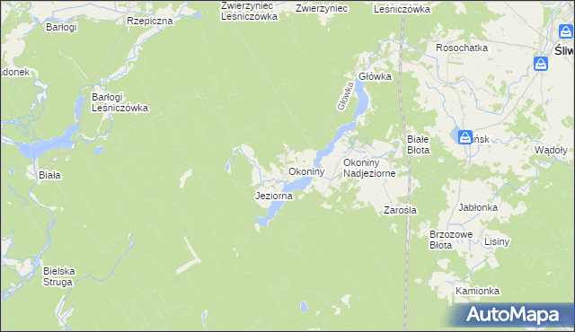 mapa Okoniny gmina Śliwice, Okoniny gmina Śliwice na mapie Targeo